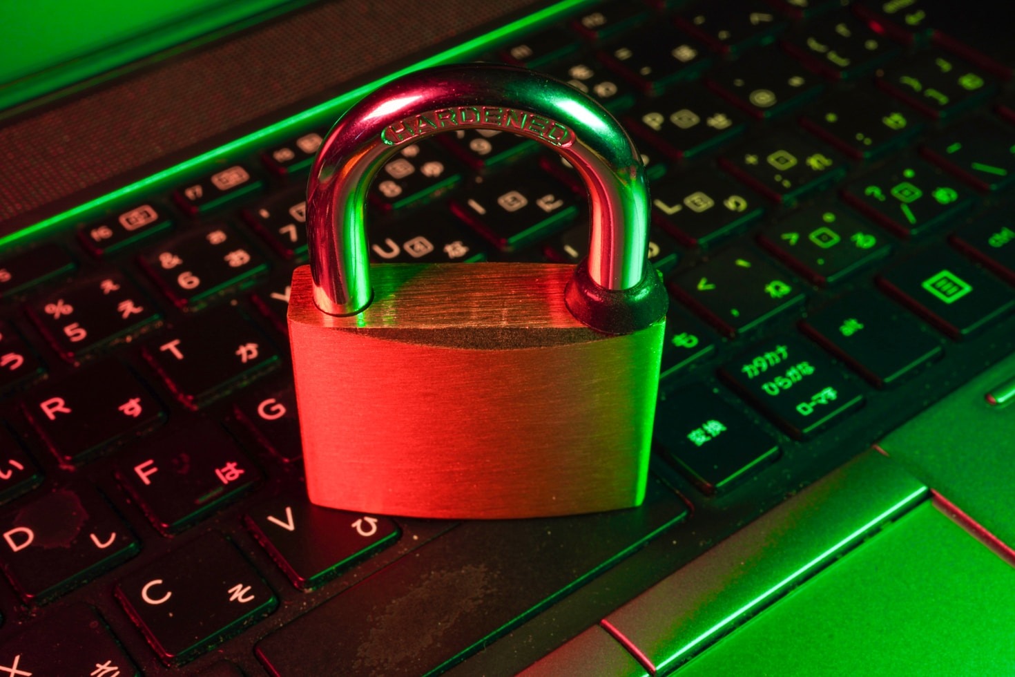 The Role of Students in Protecting Elderly Online